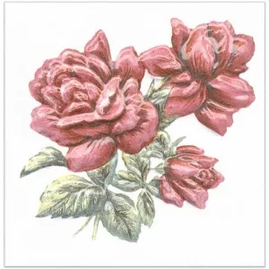 Декор Kerama Marazzi Оранжерея Розы белый 9,9х9,9 см
